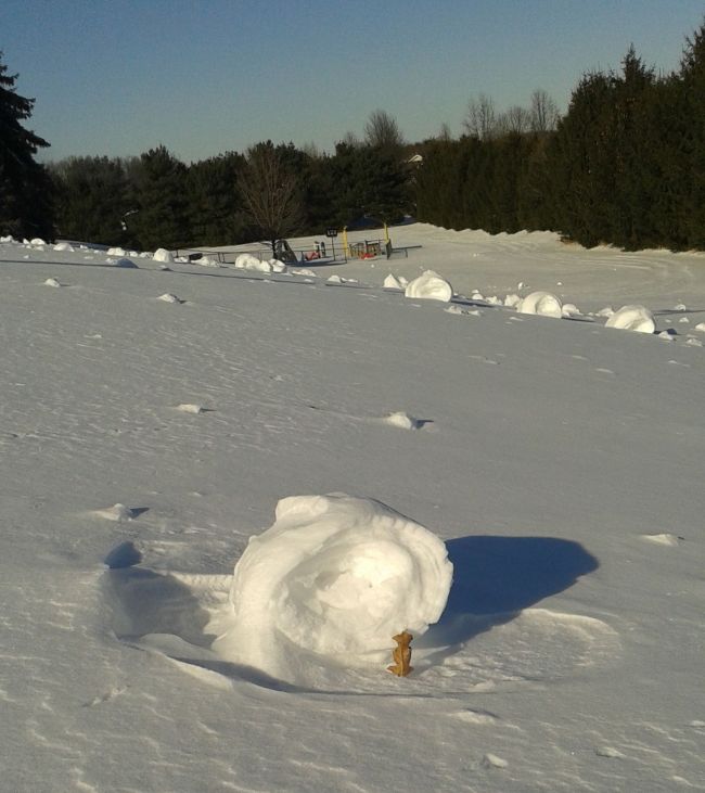 snow rollers med close